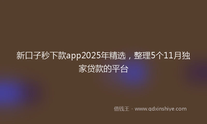 新口子秒下款app2025年精选，整理5个11月独家贷款的平台