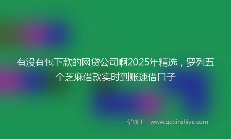 有没有包下款的网贷公司啊2025年精选，罗列五个芝麻借款实时到账速借口子