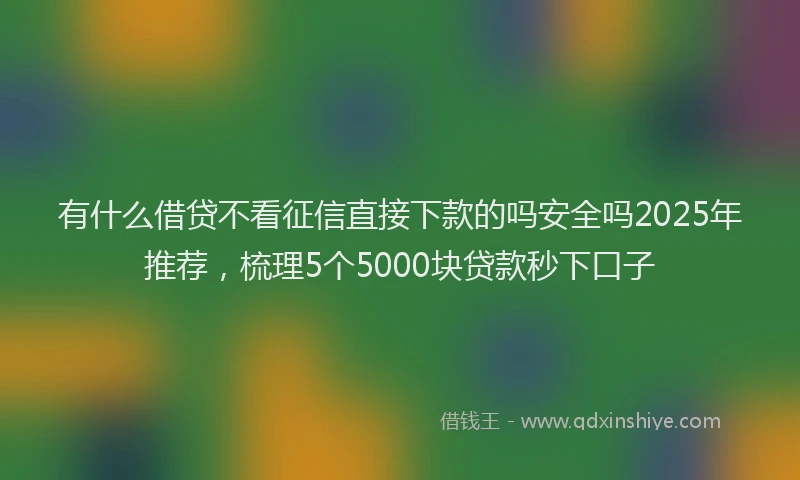 有什么借贷不看征信直接下款的吗安全吗2025年推荐，梳理5个5000块贷款秒下口子