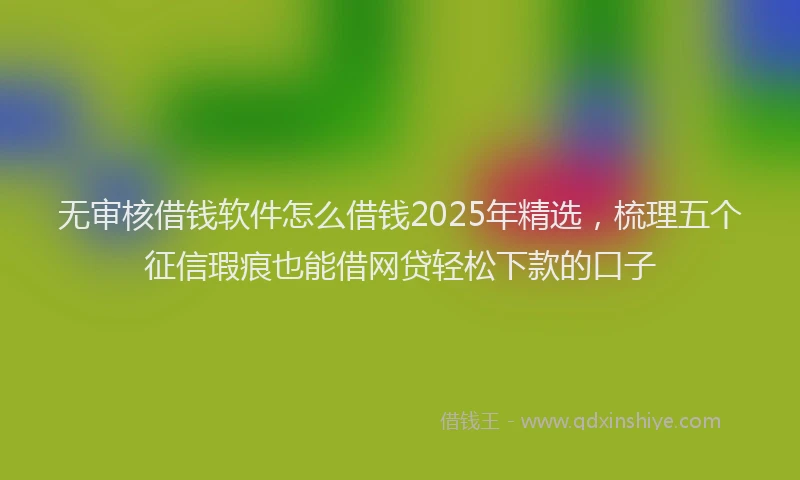 无审核借钱软件怎么借钱2025年精选，梳理五个征信瑕疵也能借网贷轻松下款的口子