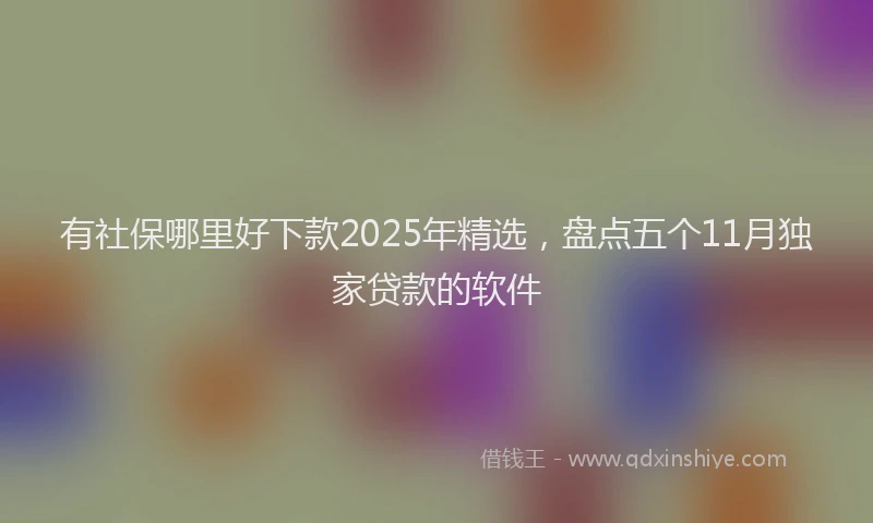 有社保哪里好下款2025年精选，盘点五个11月独家贷款的软件