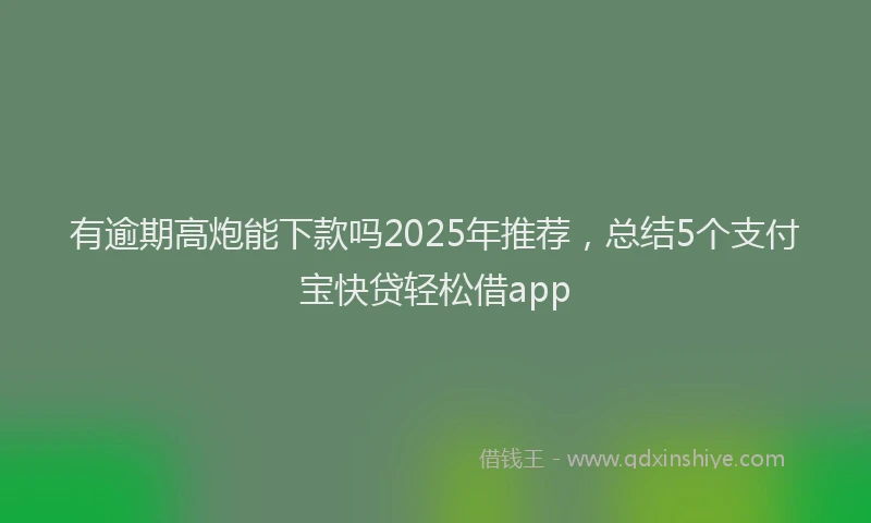 有逾期高炮能下款吗2025年推荐，总结5个支付宝快贷轻松借app
