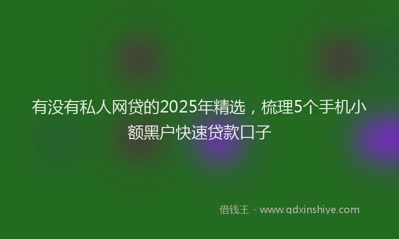 有没有私人网贷的2025年精选，梳理5个手机小额黑户快速贷款口子