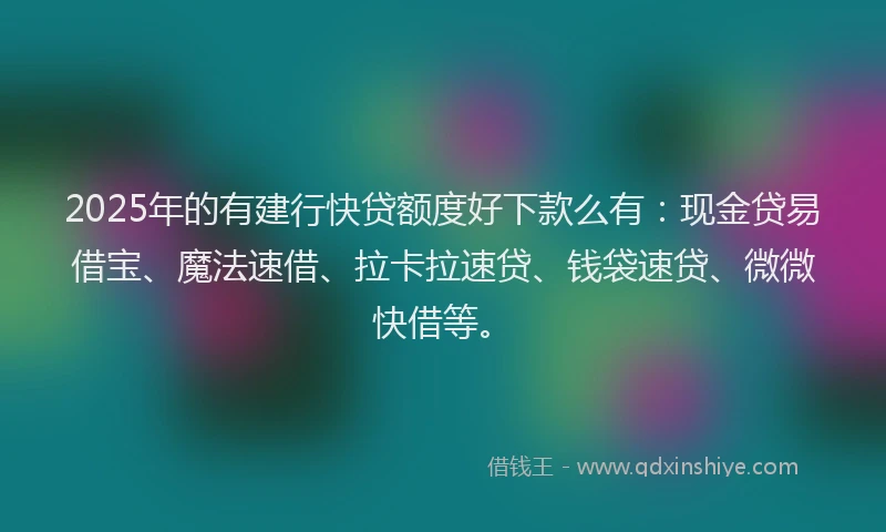 2025年的有建行快贷额度好下款么有：现金贷易借宝、魔法速借、拉卡拉速贷、钱袋速贷、微微快借等。