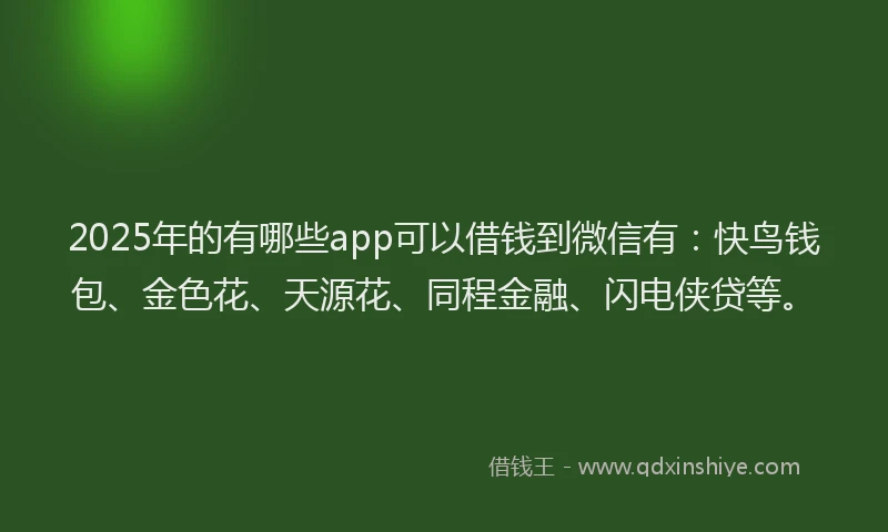 2025年的有哪些app可以借钱到微信有：快鸟钱包、金色花、天源花、同程金融、闪电侠贷等。