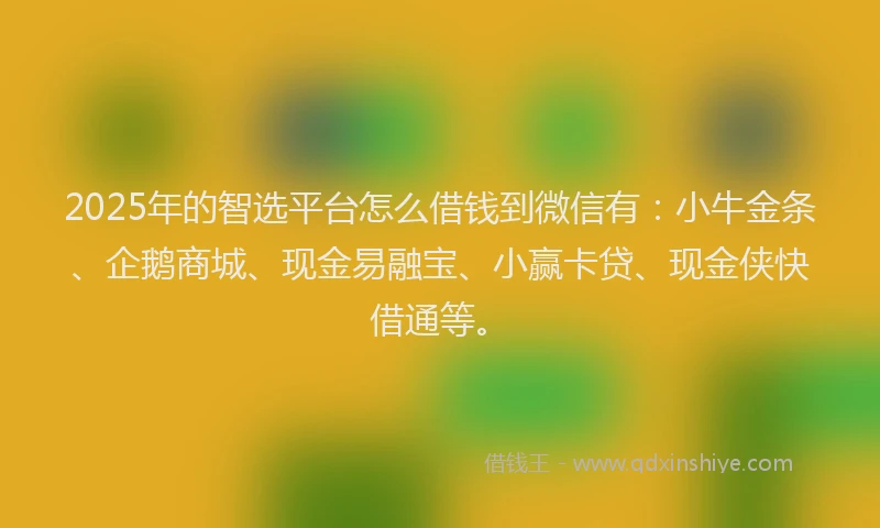 2025年的智选平台怎么借钱到微信有：小牛金条、企鹅商城、现金易融宝、小赢卡贷、现金侠快借通等。