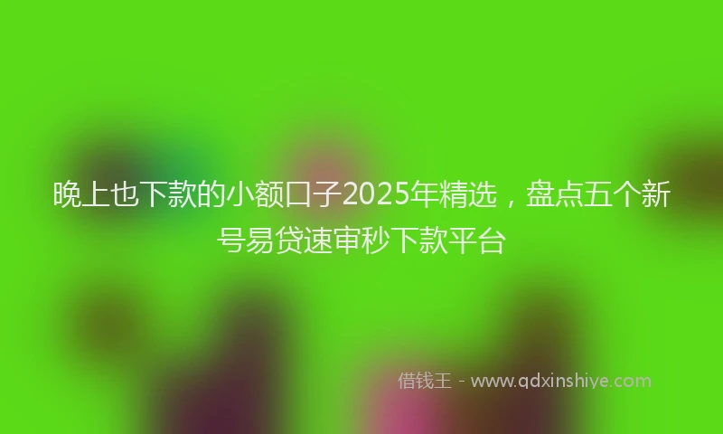 晚上也下款的小额口子2025年精选，盘点五个新号易贷速审秒下款平台