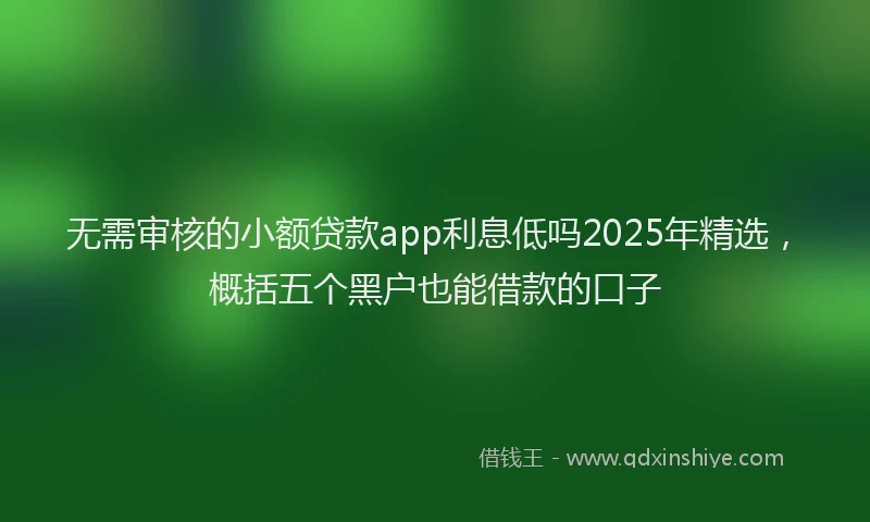 无需审核的小额贷款app利息低吗2025年精选，概括五个黑户也能借款的口子