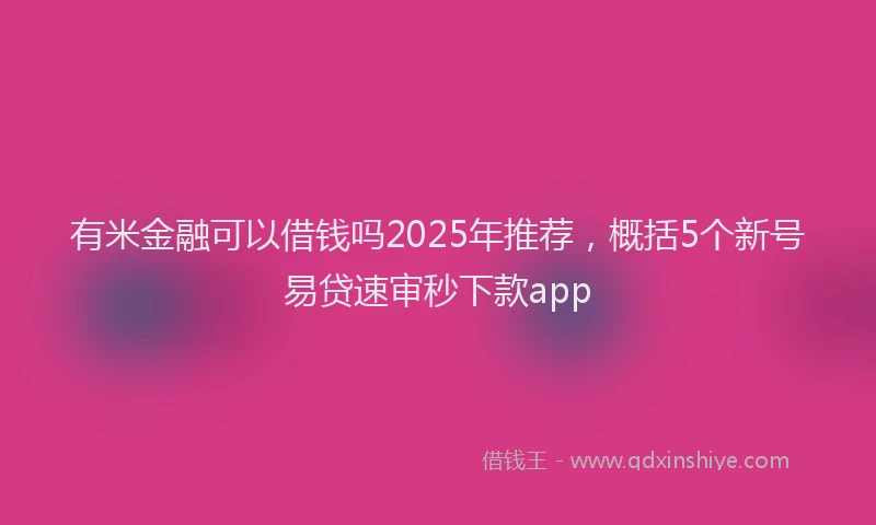 有米金融可以借钱吗2025年推荐，概括5个新号易贷速审秒下款app