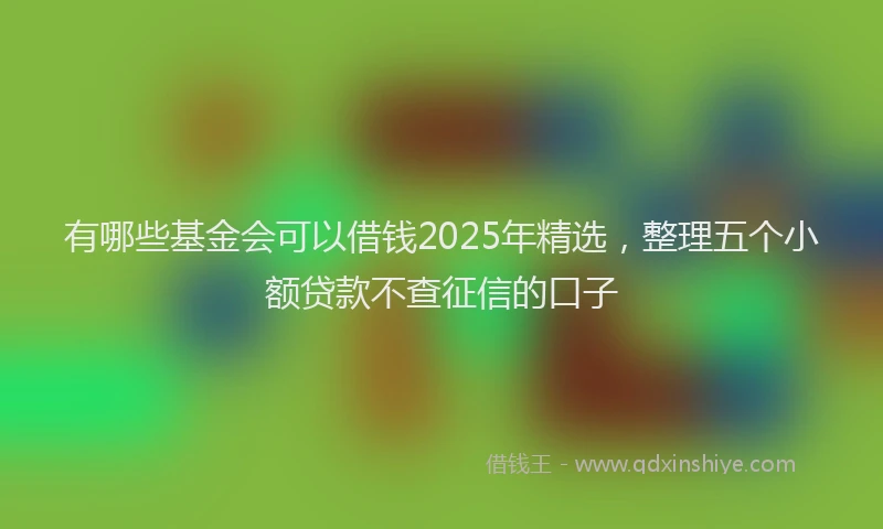 有哪些基金会可以借钱2025年精选，整理五个小额贷款不查征信的口子