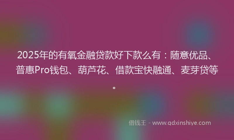 2025年的有氧金融贷款好下款么有：随意优品、普惠Pro钱包、葫芦花、借款宝快融通、麦芽贷等。