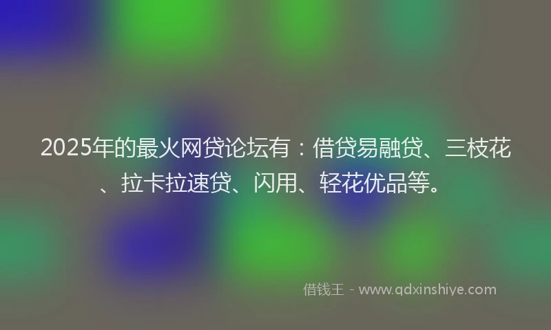 2025年的最火网贷论坛有：借贷易融贷、三枝花、拉卡拉速贷、闪用、轻花优品等。