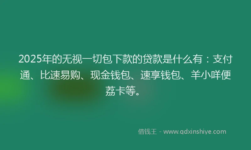 2025年的无视一切包下款的贷款是什么有：支付通、比速易购、现金钱包、速享钱包、羊小咩便荔卡等。