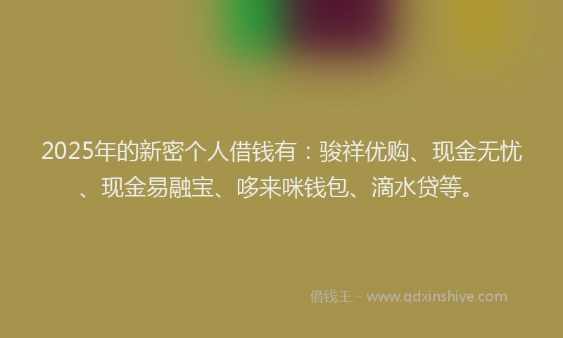2025年的新密个人借钱有：骏祥优购、现金无忧、现金易融宝、哆来咪钱包、滴水贷等。