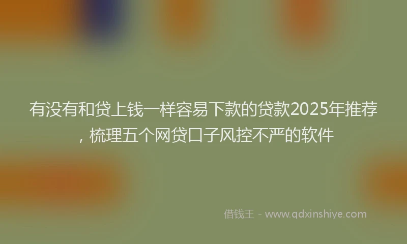 有没有和贷上钱一样容易下款的贷款2025年推荐，梳理五个网贷口子风控不严的软件