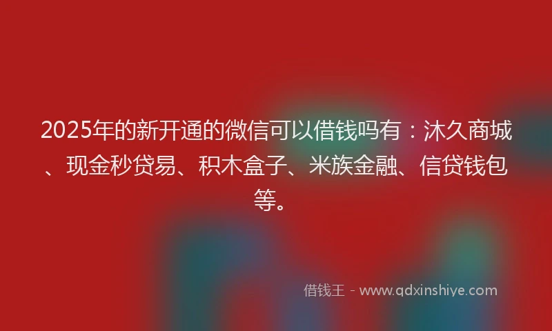 2025年的新开通的微信可以借钱吗有：沐久商城、现金秒贷易、积木盒子、米族金融、信贷钱包等。
