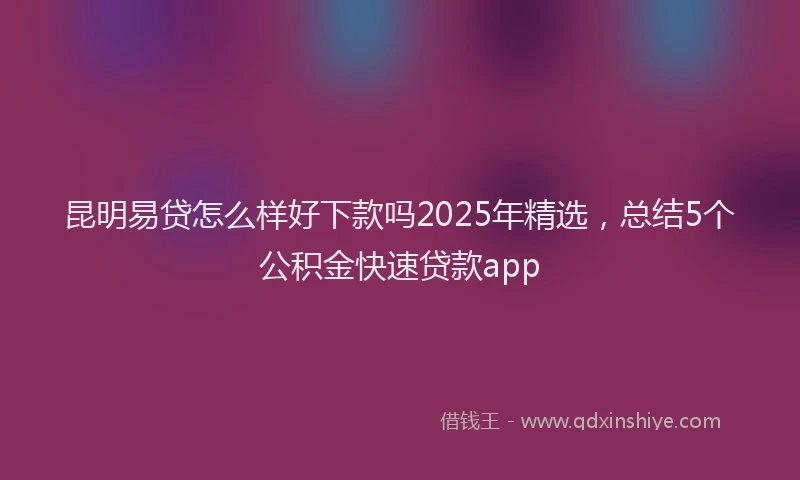 昆明易贷怎么样好下款吗2025年精选，总结5个公积金快速贷款app