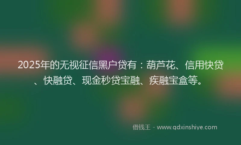 2025年的无视征信黑户贷有：葫芦花、信用快贷、快融贷、现金秒贷宝融、疾融宝盒等。