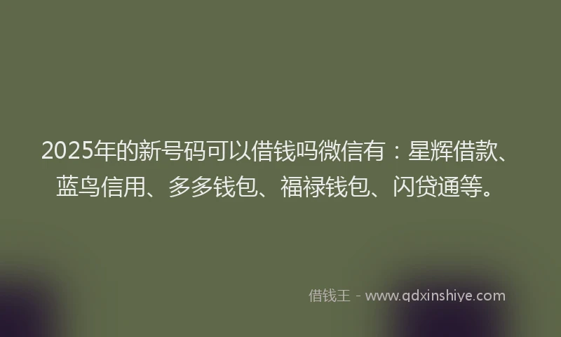 2025年的新号码可以借钱吗微信有：星辉借款、蓝鸟信用、多多钱包、福禄钱包、闪贷通等。
