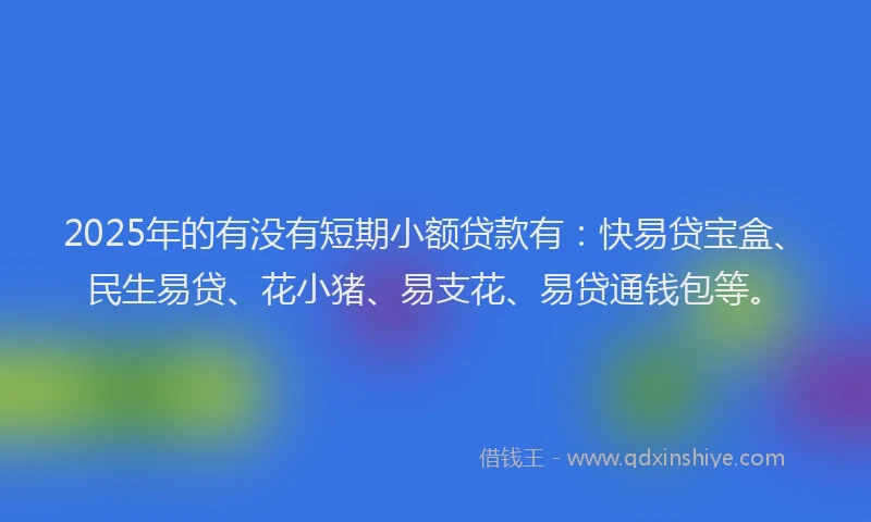 2025年的有没有短期小额贷款有：快易贷宝盒、民生易贷、花小猪、易支花、易贷通钱包等。