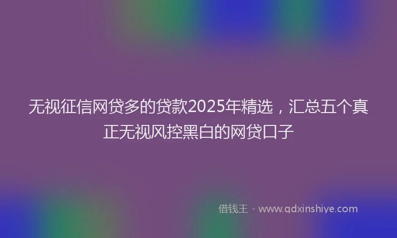 无视征信网贷多的贷款2025年精选，汇总五个真正无视风控黑白的网贷口子