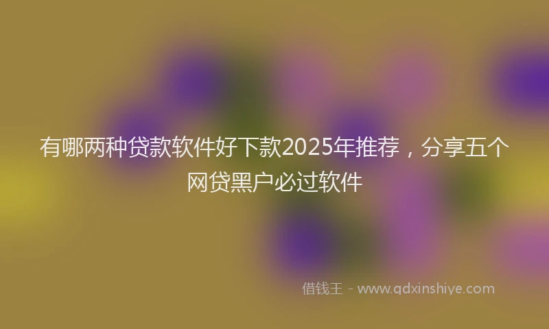有哪两种贷款软件好下款2025年推荐，分享五个网贷黑户必过软件