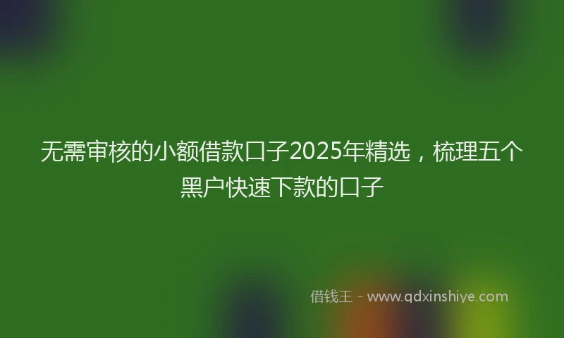 无需审核的小额借款口子2025年精选，梳理五个黑户快速下款的口子