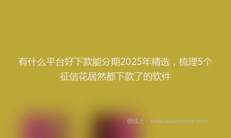 有什么平台好下款能分期2025年精选，梳理5个征信花居然都下款了的软件