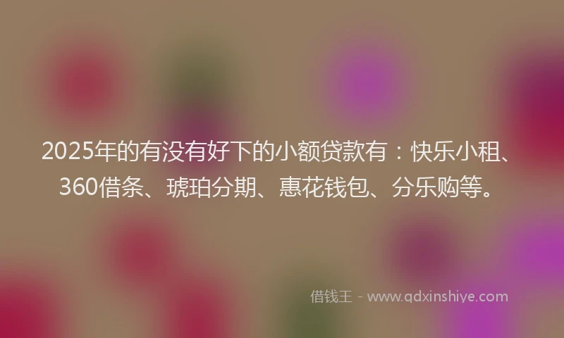 2025年的有没有好下的小额贷款有：快乐小租、360借条、琥珀分期、惠花钱包、分乐购等。