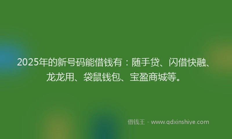 2025年的新号码能借钱有：随手贷、闪借快融、龙龙用、袋鼠钱包、宝盈商城等。