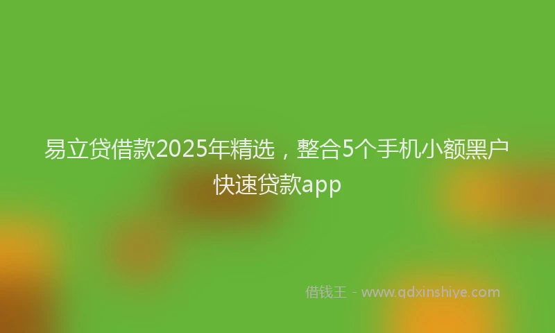 易立贷借款2025年精选，整合5个手机小额黑户快速贷款app
