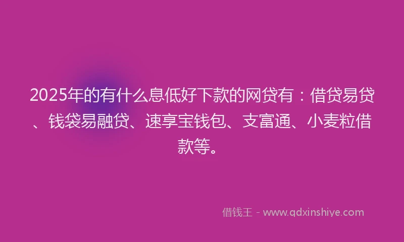 2025年的有什么息低好下款的网贷有：借贷易贷、钱袋易融贷、速享宝钱包、支富通、小麦粒借款等。