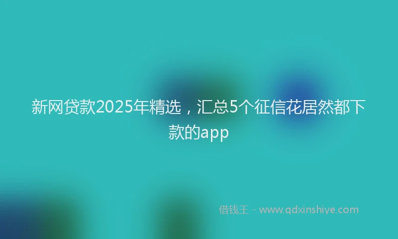 新网贷款2025年精选，汇总5个征信花居然都下款的app