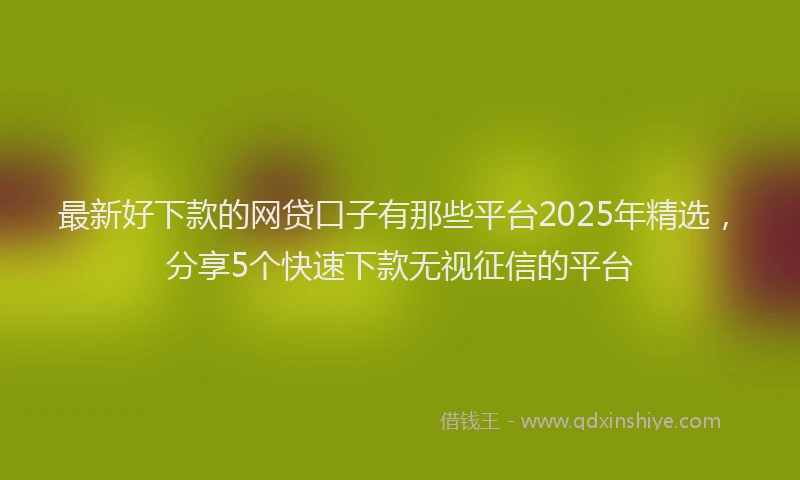 最新好下款的网贷口子有那些平台2025年精选，分享5个快速下款无视征信的平台