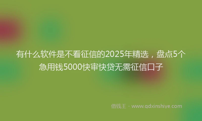 有什么软件是不看征信的2025年精选，盘点5个急用钱5000快审快贷无需征信口子