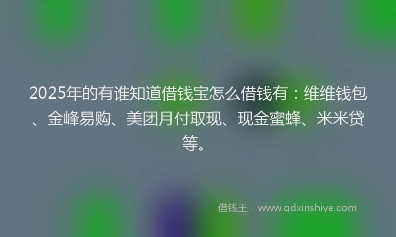 2025年的有谁知道借钱宝怎么借钱有：维维钱包、金峰易购、美团月付取现、现金蜜蜂、米米贷等。