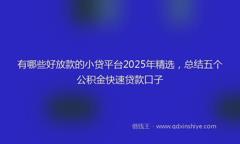 有哪些好放款的小贷平台2025年精选，总结五个公积金快速贷款口子