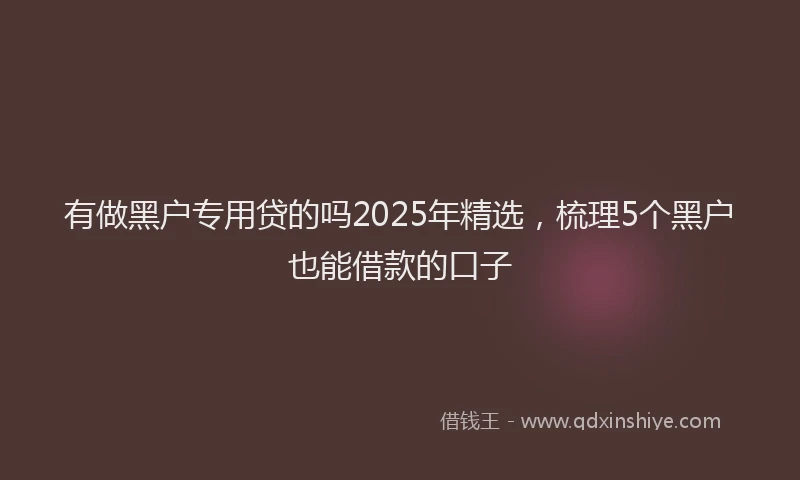 有做黑户专用贷的吗2025年精选，梳理5个黑户也能借款的口子