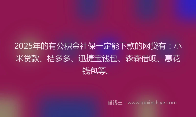 2025年的有公积金社保一定能下款的网贷有：小米贷款、桔多多、迅捷宝钱包、森森借呗、惠花钱包等。