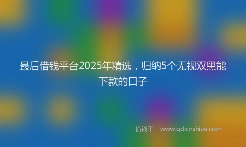 最后借钱平台2025年精选，归纳5个无视双黑能下款的口子