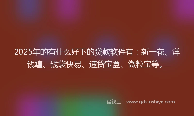 2025年的有什么好下的贷款软件有：新一花、洋钱罐、钱袋快易、速贷宝盒、微粒宝等。