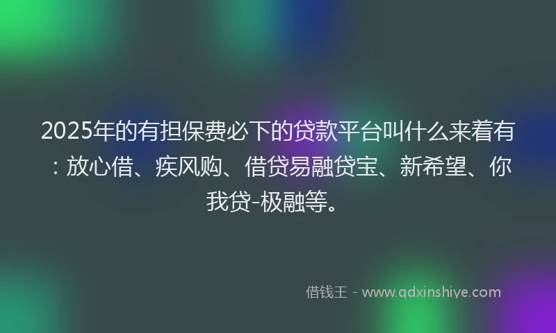 2025年的有担保费必下的贷款平台叫什么来着有：放心借、疾风购、借贷易融贷宝、新希望、你我贷-极融等。