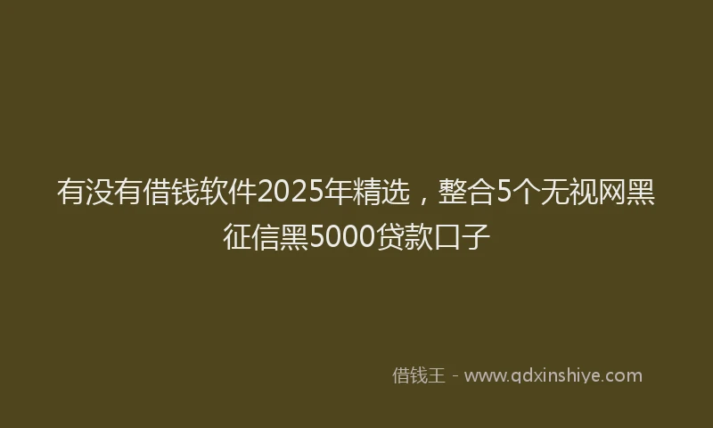 有没有借钱软件2025年精选，整合5个无视网黑征信黑5000贷款口子
