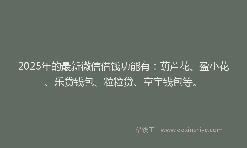 2025年的最新微信借钱功能有：葫芦花、盈小花、乐贷钱包、粒粒贷、享宇钱包等。