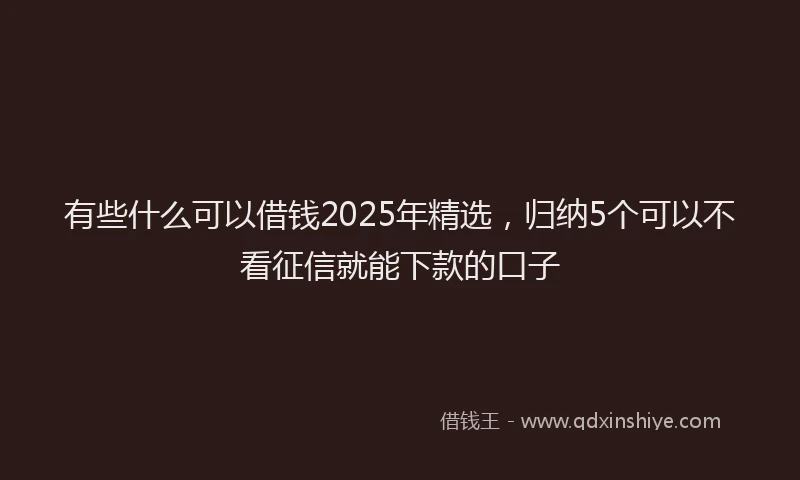 有些什么可以借钱2025年精选，归纳5个可以不看征信就能下款的口子