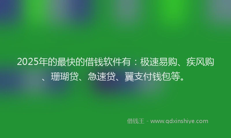 2025年的最快的借钱软件有：极速易购、疾风购、珊瑚贷、急速贷、翼支付钱包等。