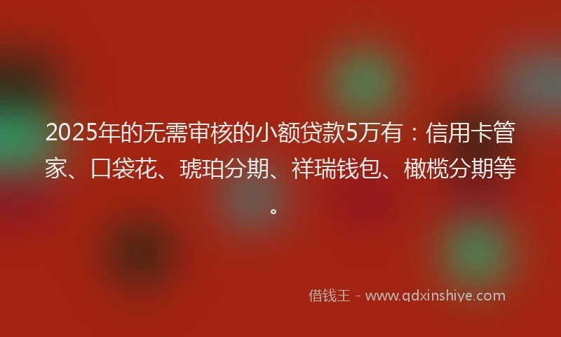 2025年的无需审核的小额贷款5万有：信用卡管家、口袋花、琥珀分期、祥瑞钱包、橄榄分期等。