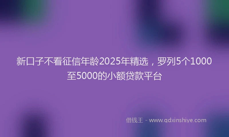 新口子不看征信年龄2025年精选，罗列5个1000至5000的小额贷款平台