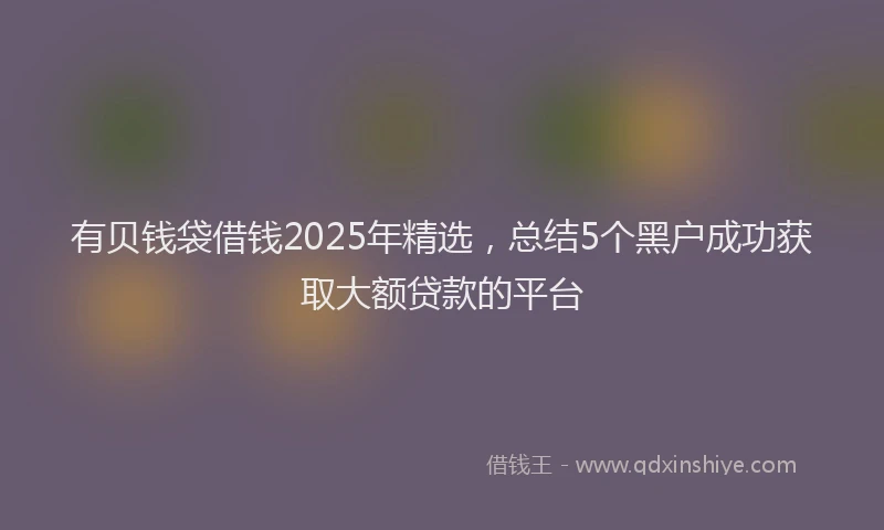 有贝钱袋借钱2025年精选，总结5个黑户成功获取大额贷款的平台