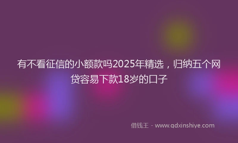 有不看征信的小额款吗2025年精选，归纳五个网贷容易下款18岁的口子